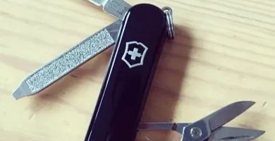 victorinox classic limited edition 2017