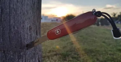 victorinox hiker 1.4613